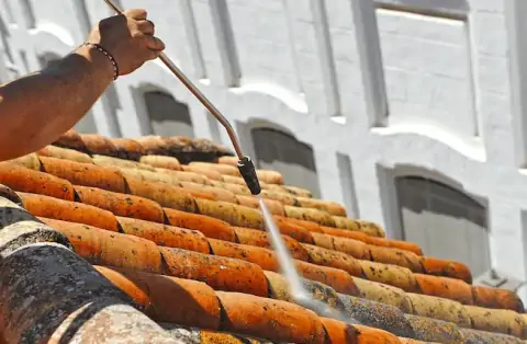 Nettoyage de toitures - Le Pecq